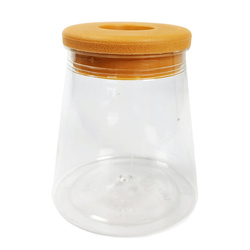 FUJI Trapezoidal Pot for Sedum Without Soil 6.3cm Transparent Plastic