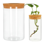 Transparent Orchid Pot 12x6.5cm 350ml Glass Pot Without Soil