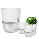 Self Watering Pot - 23.5 cm- White - Self Sprinkling Pot