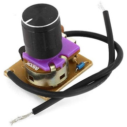 AC 220V 50W PWM power regulator module