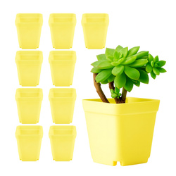 Doniczka Plastikowa MINI 7x7cm Zółta - Do Rozsady - 10sztuk