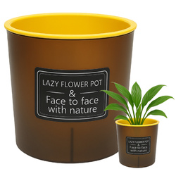 Doniczka Samonawadniająca CANDLE - Czarno Żółta 9cm Osłona Roślin