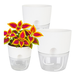 Self Watering Pot 8,2cm 3 pieces White Automatic Waterer