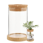 Transparent Glass Orchid Cover Pot 250ml For Planting