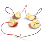 Fruit Battery - DIY - Science Experiment - Educational Toy for Kids