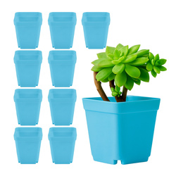 Doniczka Plastikowa MINI 7x7cm Niebieska - Do Rozsady - 10 sztuk