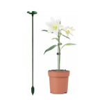 Plant stand - 37cm - plant stand - support