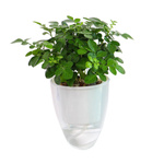 Hanging Flower Pot Cover MODERNO 10.5cm - White Irrigator