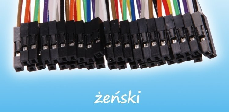 przewody zworki