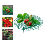 Strawberry stand 30cm - Horticultural bracket - support for vines