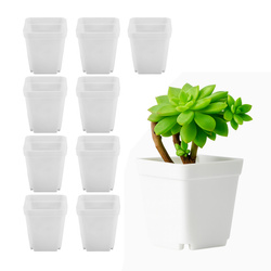 Doniczka MINI Plastikowa Do Rozsady 7x7cm Biała 10szt