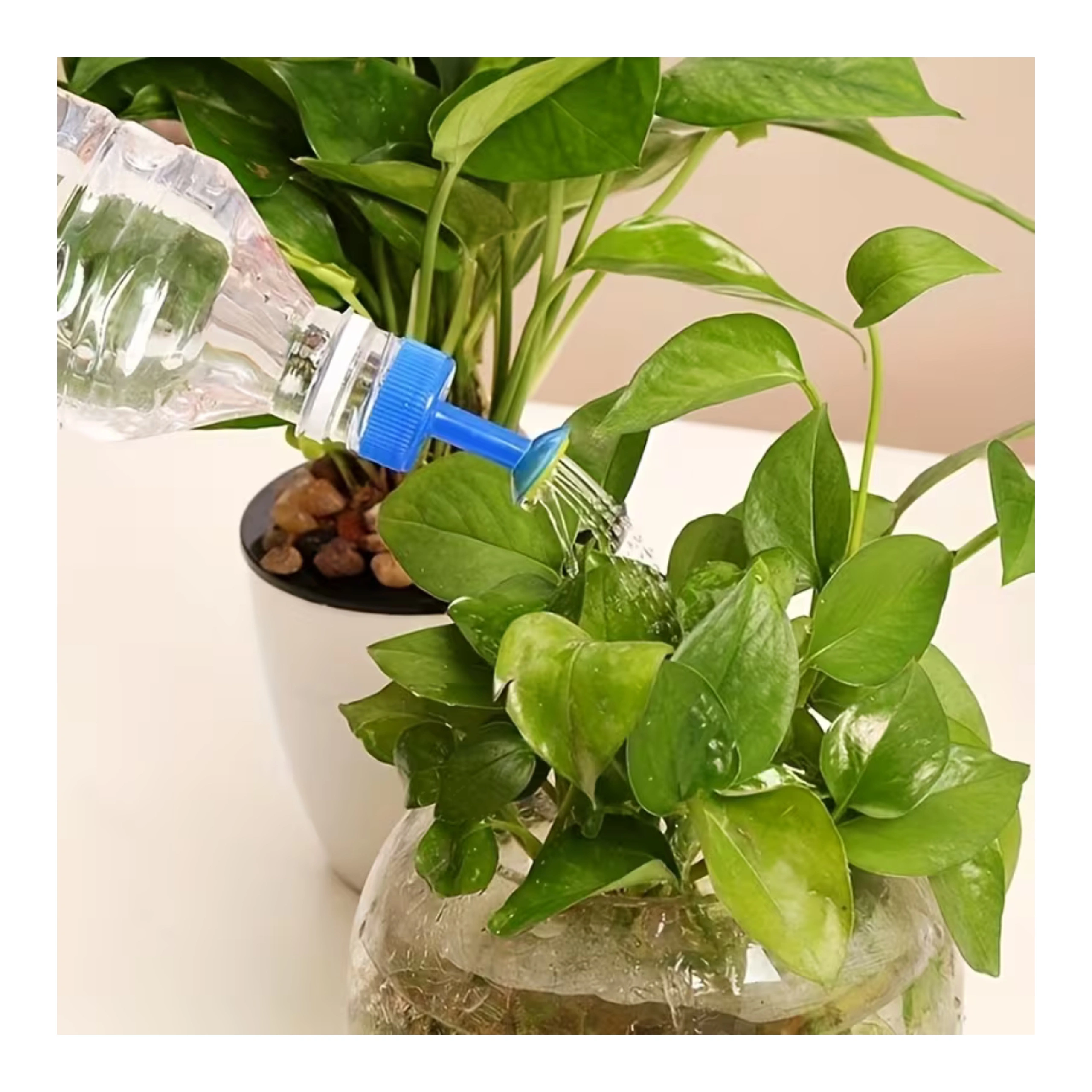 spryskiwacz na butelkę