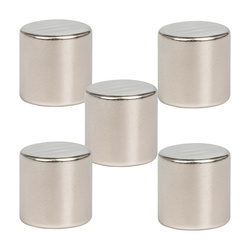 Neodymium Magnet N35 4x4mm Cylindrical 5 pieces